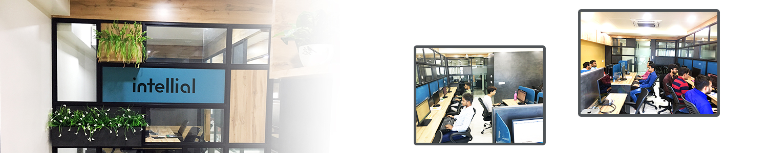 Internship at Intellial Solutions Pvt Ltd Ahmedabad